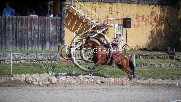 26 173502 S1022889 - © by A-la-Vie.com