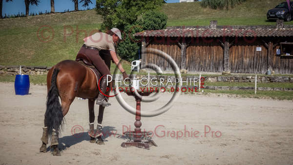 26 173654 S1022910 - © by A-la-Vie.com