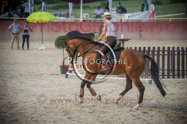 26 184012 D3s141291 - © by A-la-Vie.com