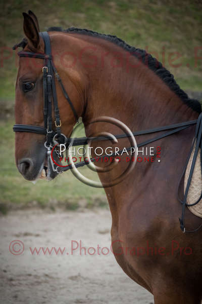 26 192642 S1024156 - © by A-la-Vie.com