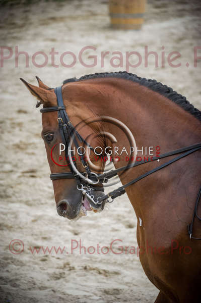 26 193206 D3s141587 - © by A-la-Vie.com