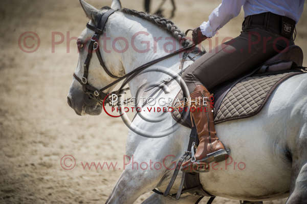 D3s144046 © by A-la-Vie.com