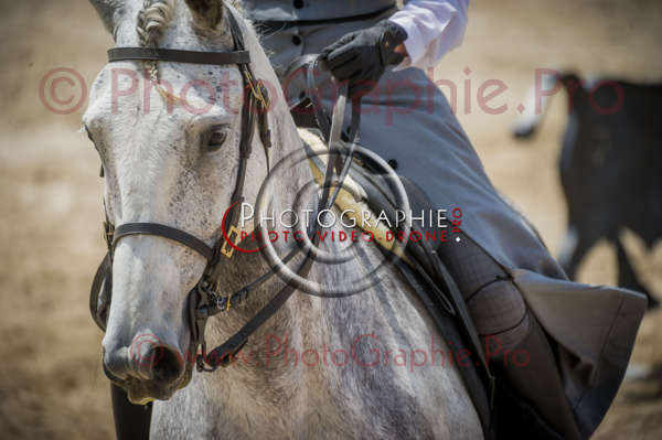 D3s144150 © by A-la-Vie.com