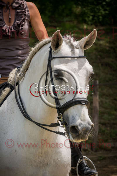 S1026442 © by A-la-Vie.com