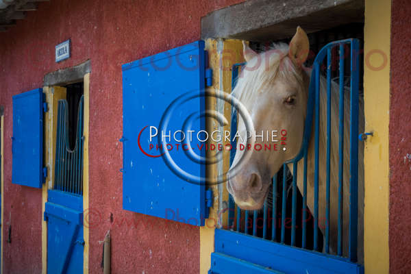 S1026501 © by A-la-Vie.com