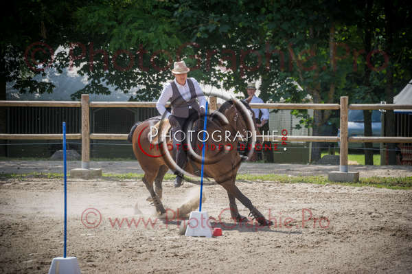 D3s144878 © by A-la-Vie.com