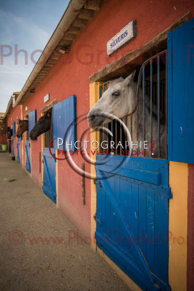 D8E_1181 © by A-la-Vie.com