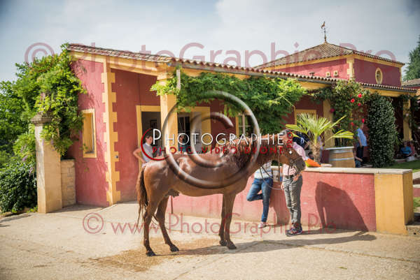 D6019689 © by A-la-Vie.com