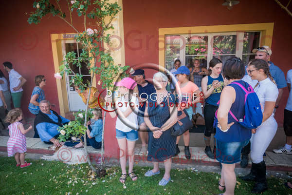 D8E_1216 © by A-la-Vie.com