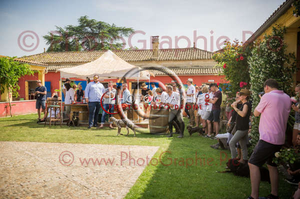 D3s145278 © by A-la-Vie.com