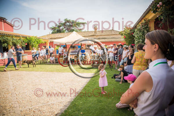 D6019907 © by A-la-Vie.com