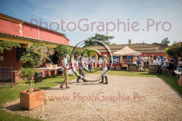 D8E_1355 © by A-la-Vie.com