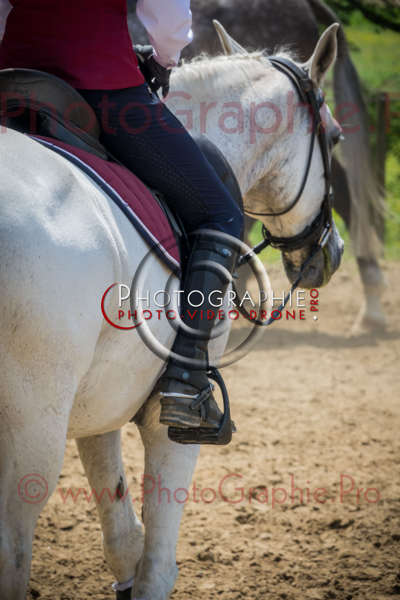 S1025833 © by A-la-Vie.com