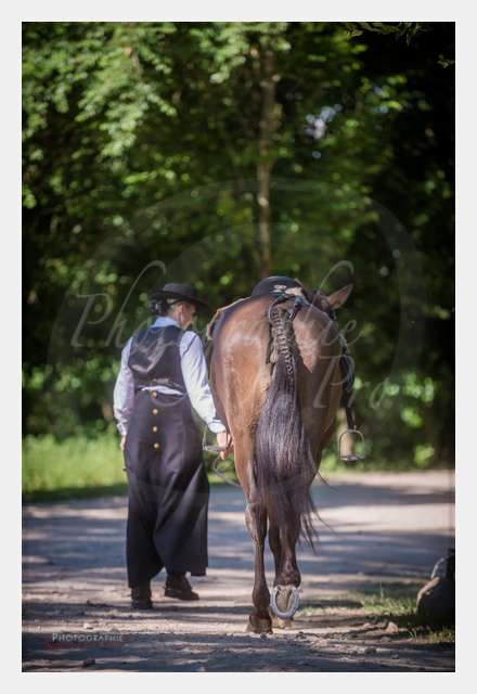 170526-101024_D8e119310 © by A-la-Vie.com