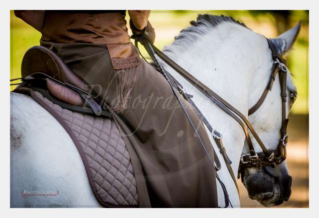 170526-102236_D3s139844 © by A-la-Vie.com