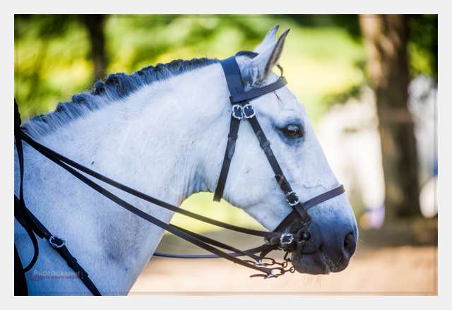 170526-102320_D3s139852 © by A-la-Vie.com