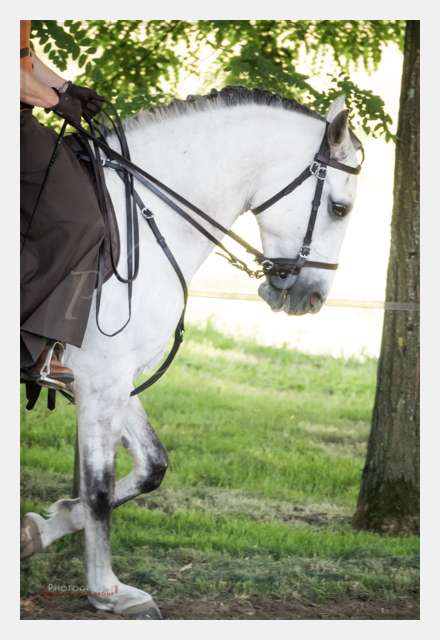 170526-102524_S1020553 © by A-la-Vie.com