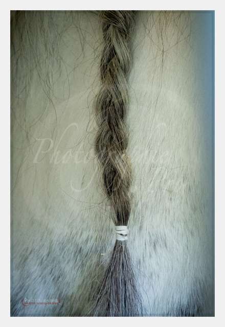 170526-125524_S1021609 © by A-la-Vie.com