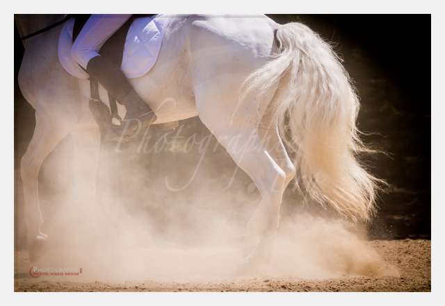 170526-133026_S1021720 © by A-la-Vie.com