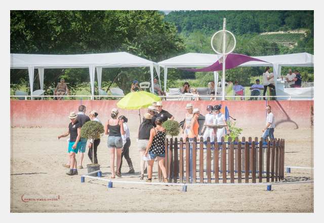 AMBIANCE © by A-la-Vie.com