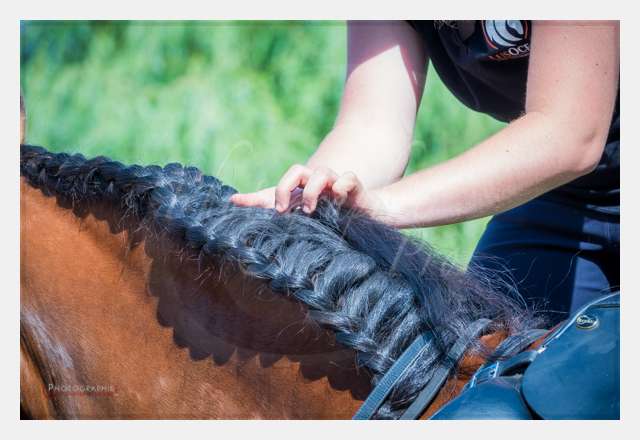 AMBIANCE © by A-la-Vie.com