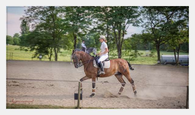 TERRAIN DE CHAUF © by A-la-Vie.com