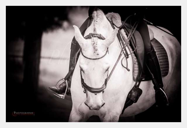 D3s141743 TERRAIN DE CHAUF © by A-la-Vie.com