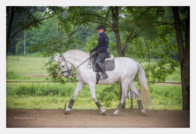 D3s141747 TERRAIN DE CHAUF © by A-la-Vie.com