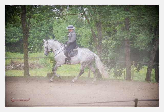 D3s141757 TERRAIN DE CHAUF © by A-la-Vie.com