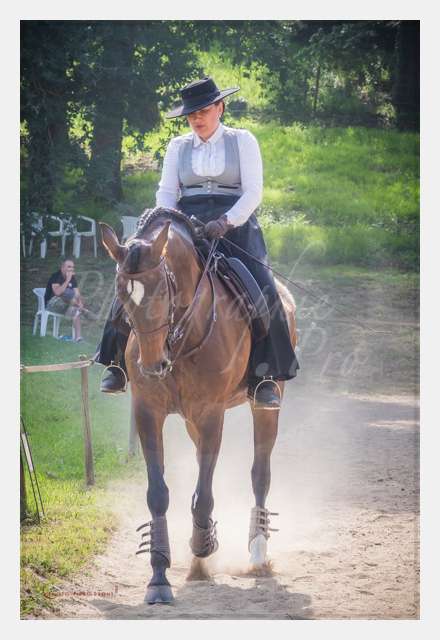 S1024621 TERRAIN DE CHAUF © by A-la-Vie.com