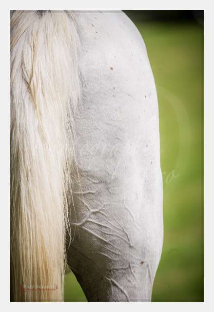 D3s142867 TERRAIN DE CHAUF © by A-la-Vie.com