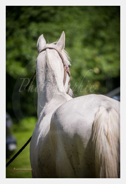 D3s142868 TERRAIN DE CHAUF © by A-la-Vie.com