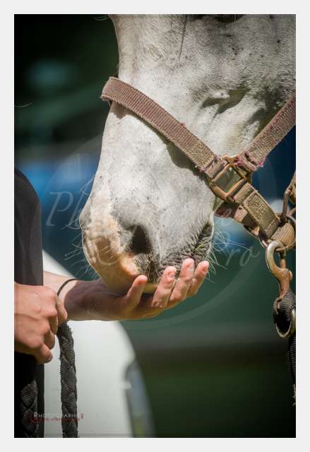 D3s142880 TERRAIN DE CHAUF © by A-la-Vie.com