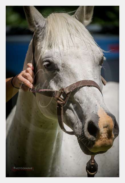 D3s142884 TERRAIN DE CHAUF © by A-la-Vie.com