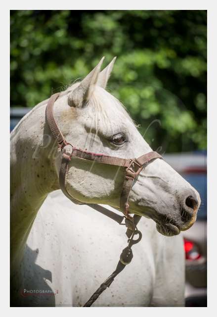 D3s142885 TERRAIN DE CHAUF © by A-la-Vie.com