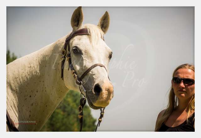 S1025230 TERRAIN DE CHAUF © by A-la-Vie.com