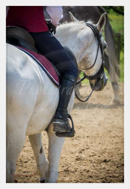 S1025833 TERRAIN DE CHAUF © by A-la-Vie.com