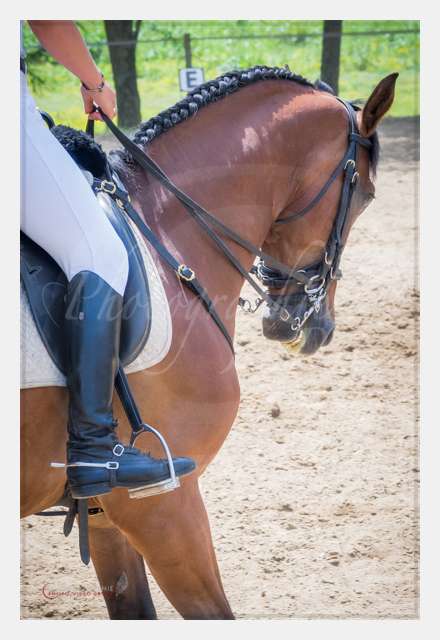 S1025853 TERRAIN DE CHAUF © by A-la-Vie.com