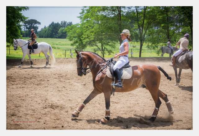 S1025934 TERRAIN DE CHAUF © by A-la-Vie.com