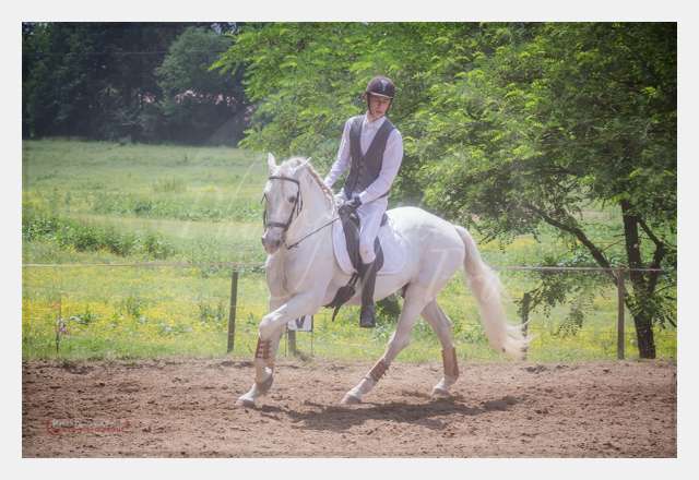 S1025948 TERRAIN DE CHAUF © by A-la-Vie.com