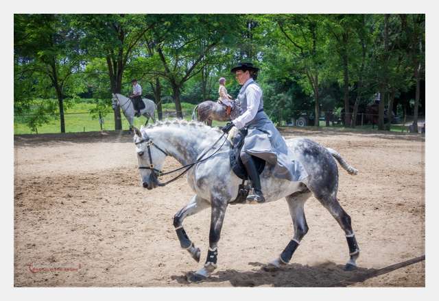 S1026039 TERRAIN DE CHAUF © by A-la-Vie.com