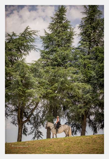 S1026225 TERRAIN DE CHAUF © by A-la-Vie.com