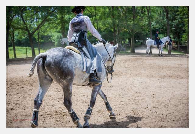 D6018595 TERRAIN DE CHAUF © by A-la-Vie.com