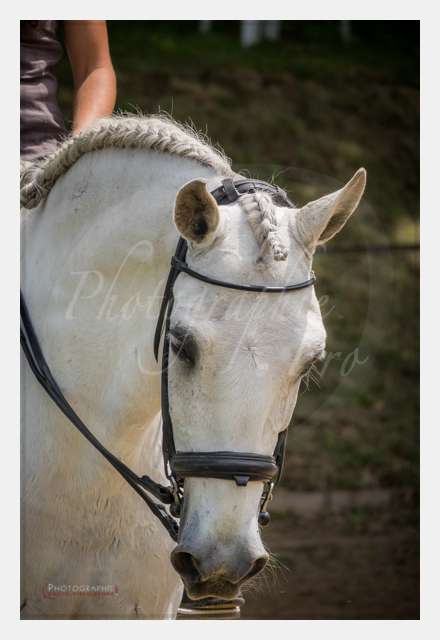 S1026436 TERRAIN DE CHAUF © by A-la-Vie.com