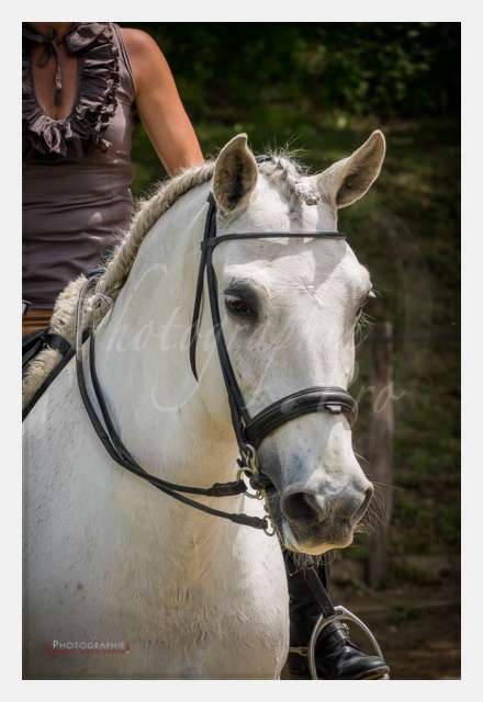 S1026442 TERRAIN DE CHAUF © by A-la-Vie.com