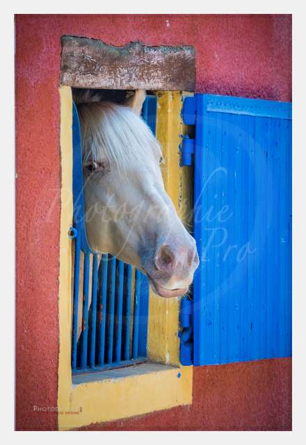 S1026488 AMBIANCE © by A-la-Vie.com