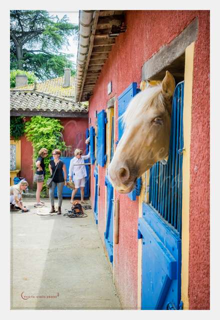 S1026516 AMBIANCE © by A-la-Vie.com