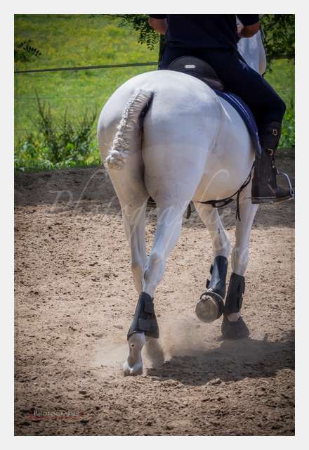 S1026568 TERRAIN DE CHAUF © by A-la-Vie.com