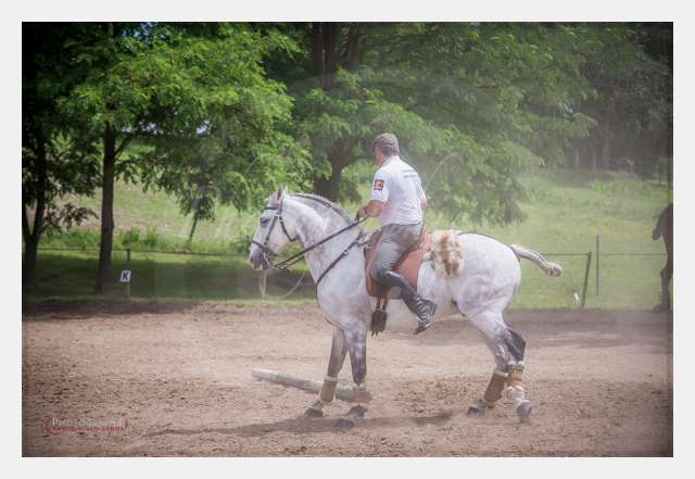 D6019090 TERRAIN DE CHAUF © by A-la-Vie.com