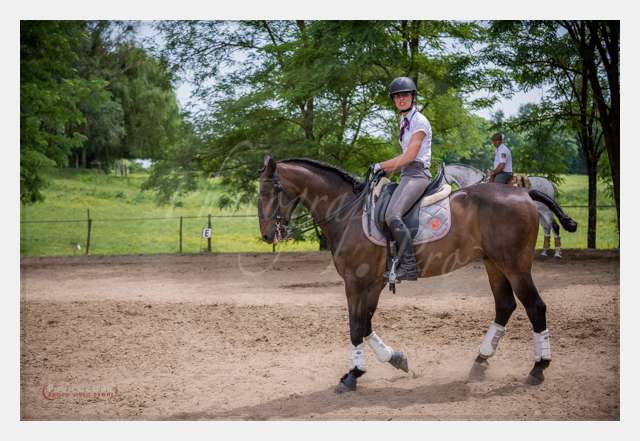 D6019110 TERRAIN DE CHAUF © by A-la-Vie.com